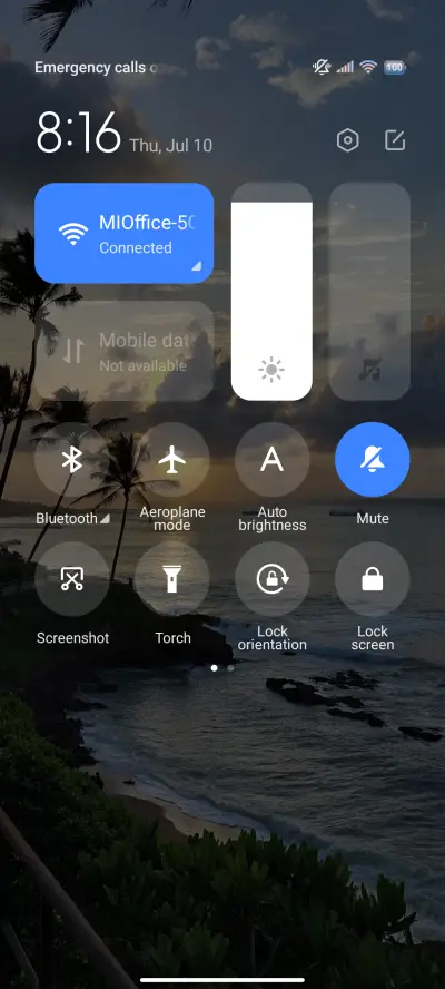 Coconut grove - Screenshot 6