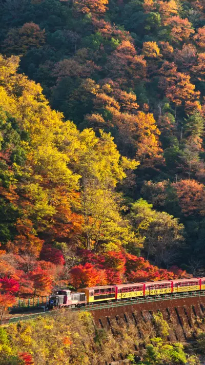 Autumn scenery in Japan