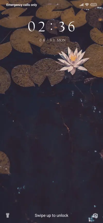 Lotus Lake_3MDS - Screenshot 1