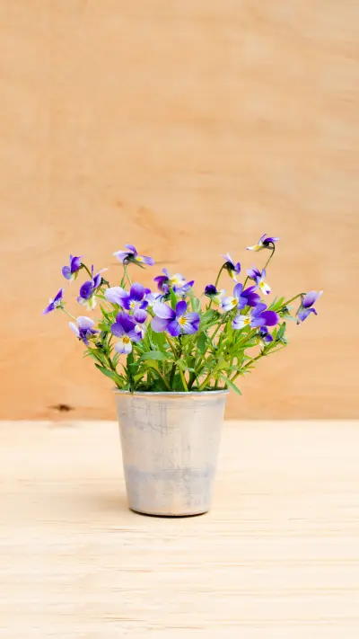 Flower 51 - Screenshot 1