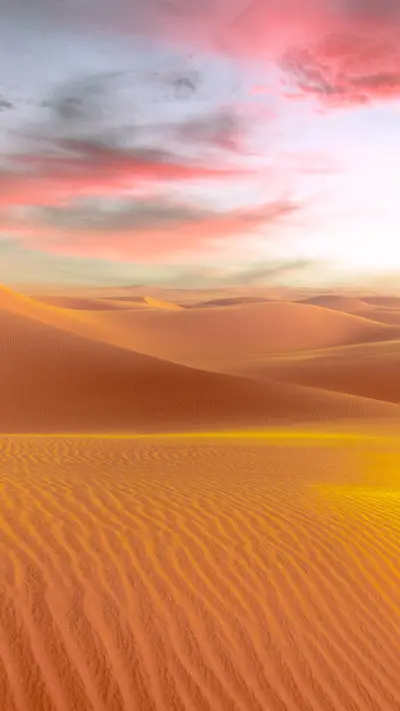 Desert scenery at sunset