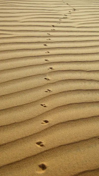 Desert scenery - Screenshot 1