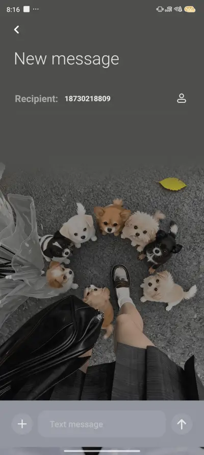 Puppy’s Daily Date - Screenshot 8