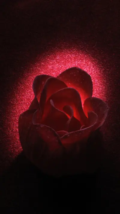 Flame flower-06 - Screenshot 1