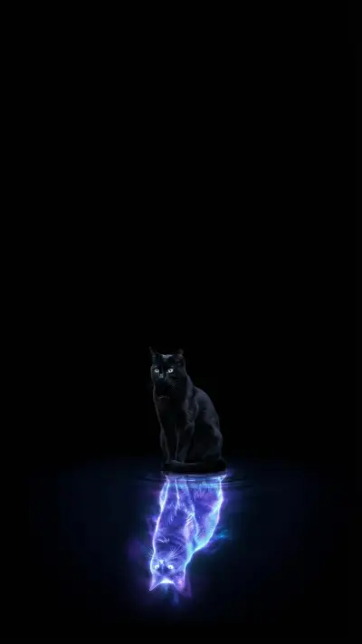 Cosmic Reflection Black Cat Zen
