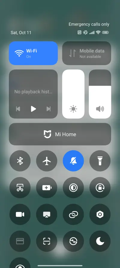 Gold Fortune Nut - Screenshot 5