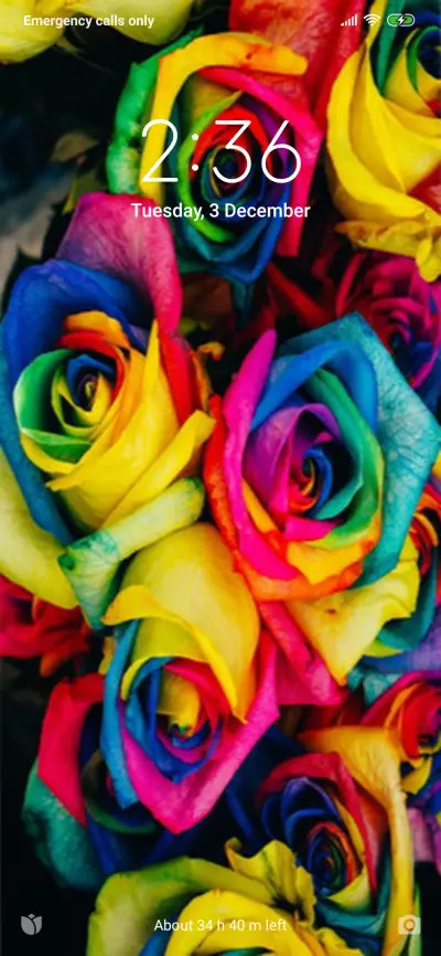 Mi Turns 5 (11) - Screenshot 1