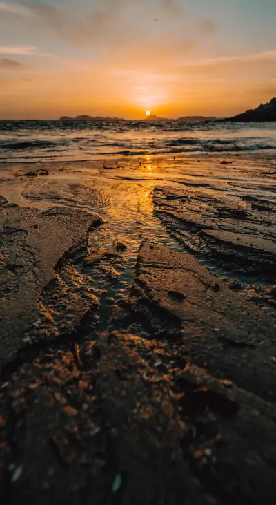 Nature B6 (22) - Screenshot 1