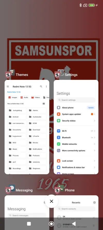 SAMSUN SPOR - Screenshot 4
