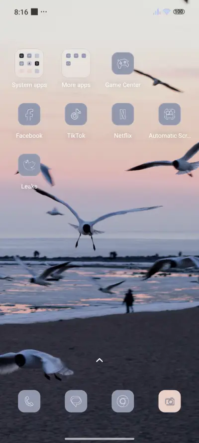 Seagull - Screenshot 3