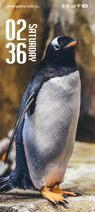 Penguin