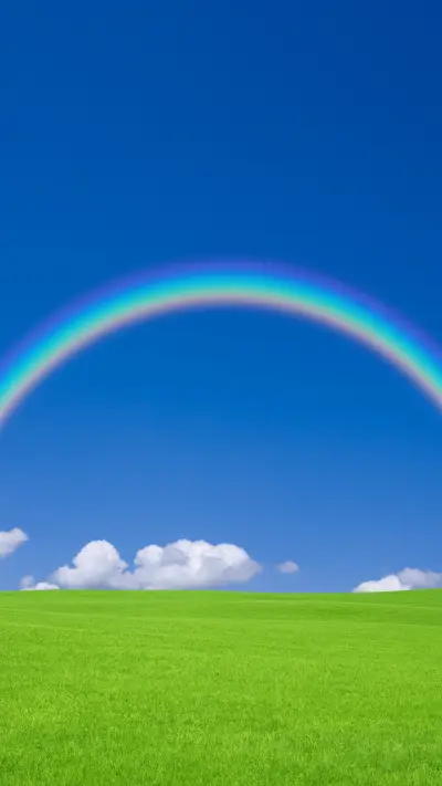Green Grass And Blue Sky