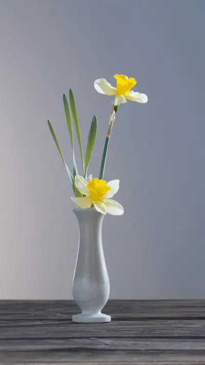 Yellow narcissus in vase on wooden table on dark background