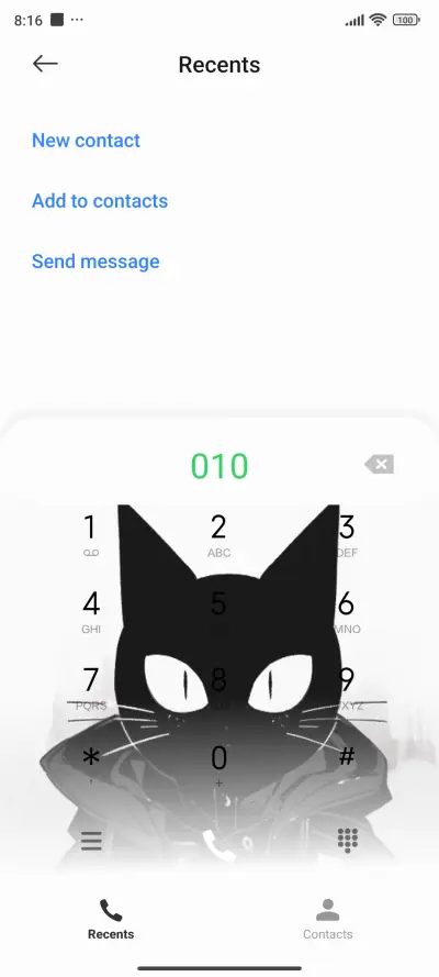 black cat - Screenshot 4