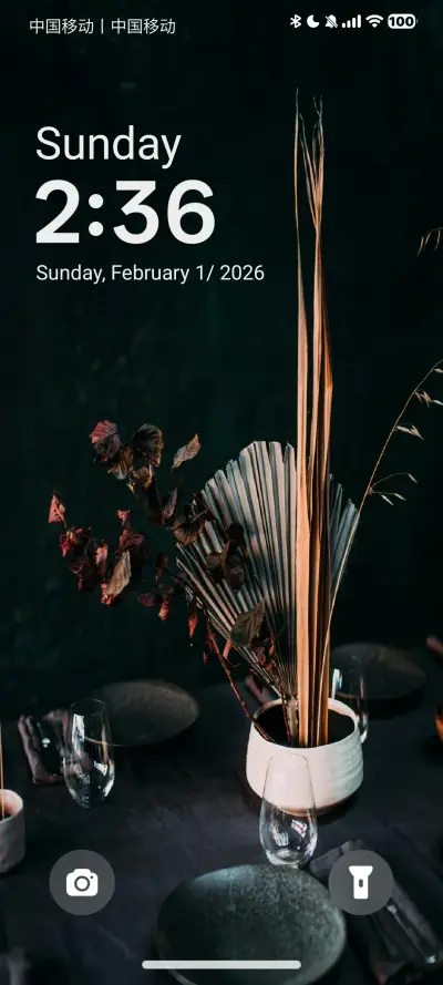 Frosted Black - Screenshot 1