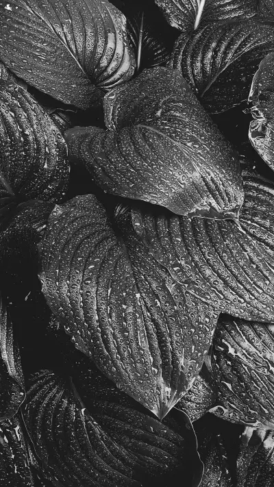 landing-0302 - Screenshot 1