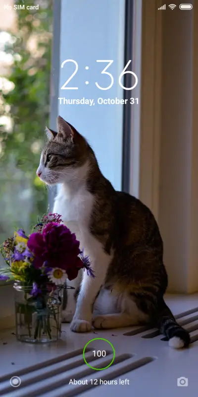 Official MIUI Theme_11 - Screenshot 1