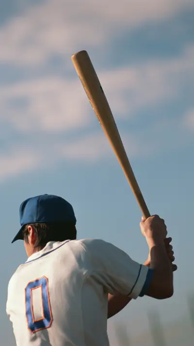India-Baseball - Screenshot 1