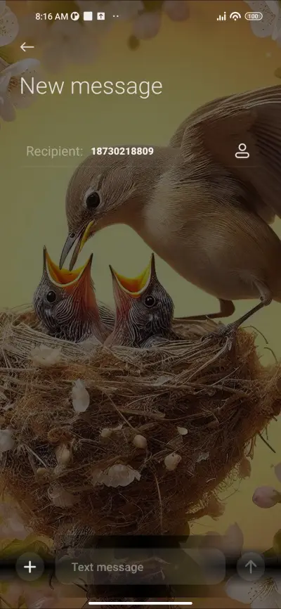 Bird Feeding - Screenshot 8