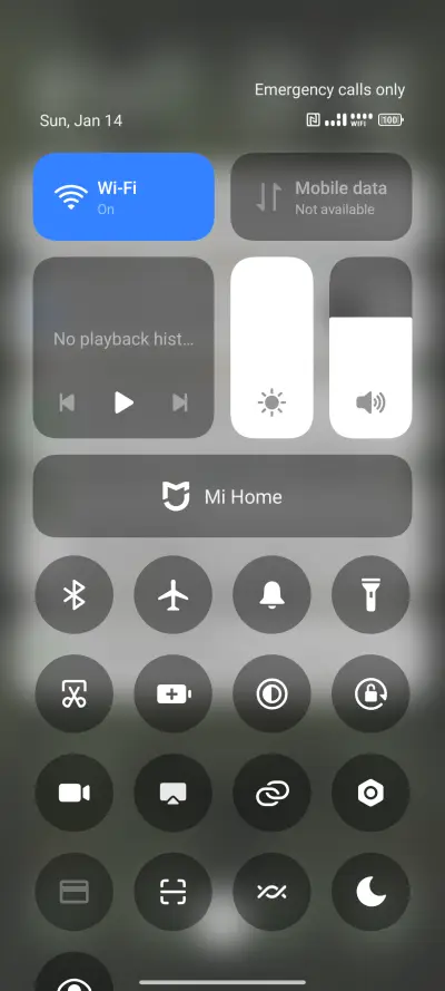 Hidden Tiger - Screenshot 5