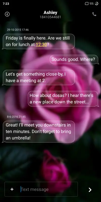 MiOs - Screenshot 8