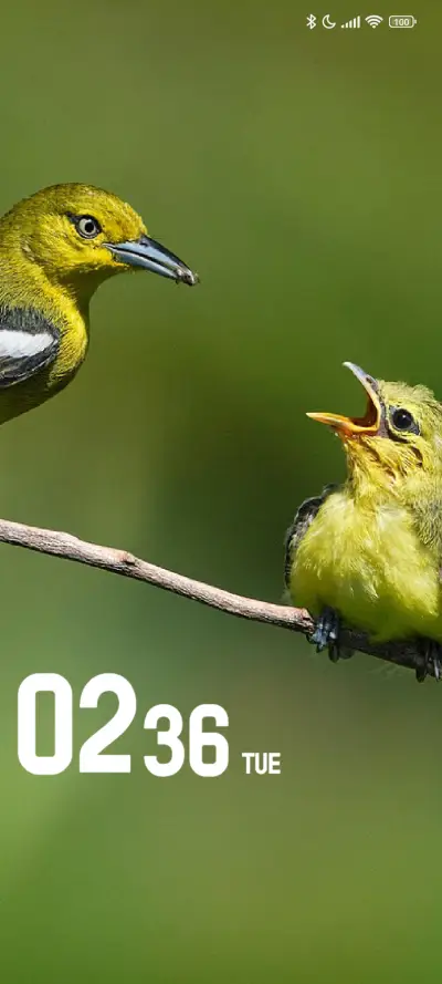 Birds Love - Screenshot 1