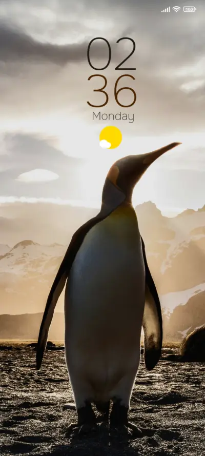 Penguin