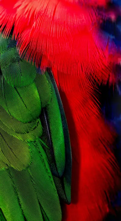 Rich Colors (28) - Screenshot 1