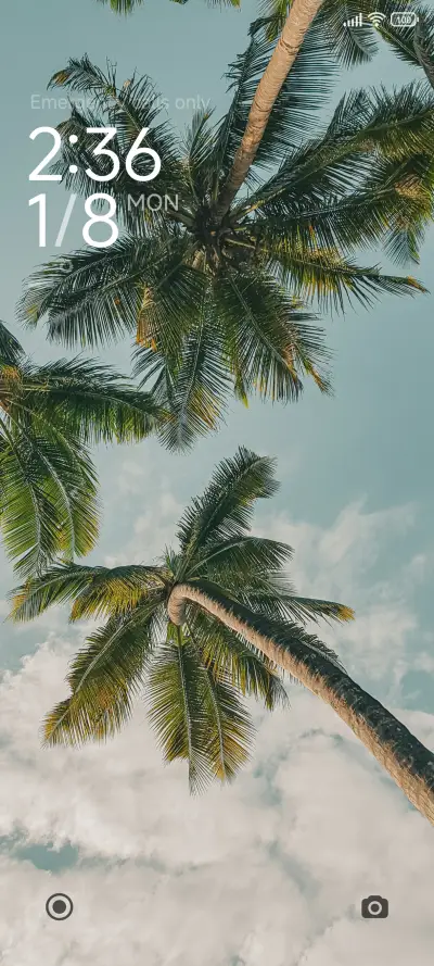 Dandelions - Screenshot 1