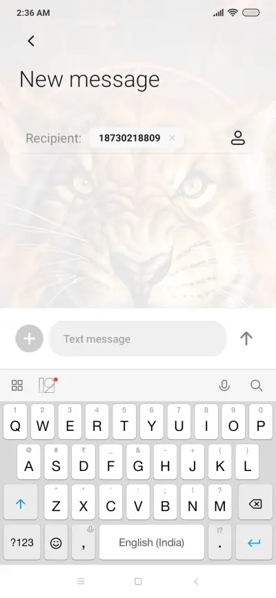 Fire Tiger - Screenshot 8