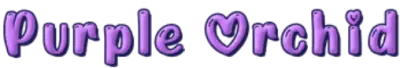 Purple Orchid
