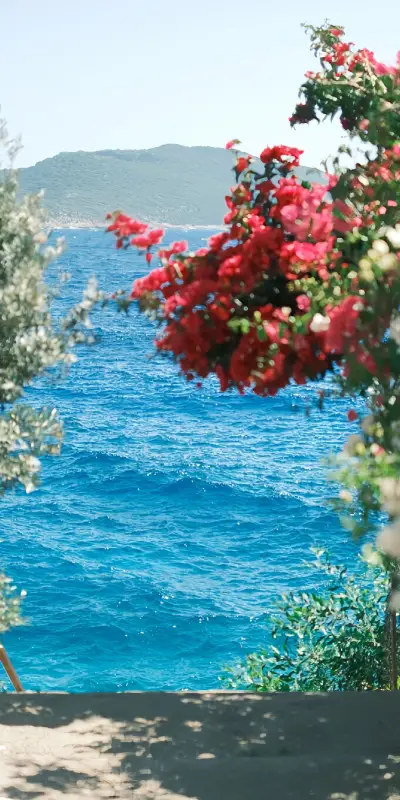 𝑆𝑢𝑚𝑚𝑒𝑟 𝐶𝑟𝑢𝑠ℎ_1575891.jpg - Screenshot 1