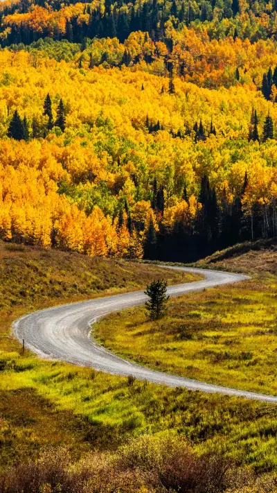 Autumn scenery in the mountains