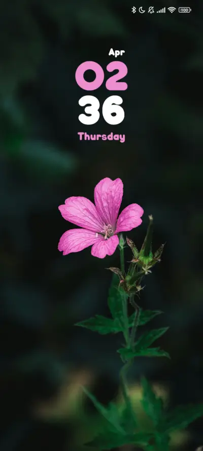 Pink Flower