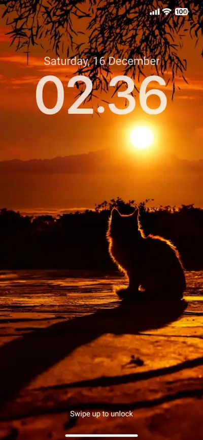 L A Y U N G - Screenshot 1