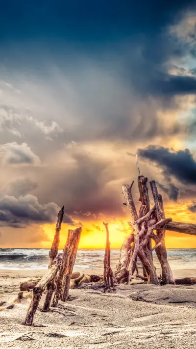 India-landscape - Screenshot 1