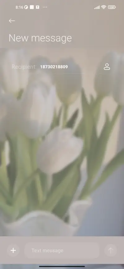 romantic tulip - Screenshot 8