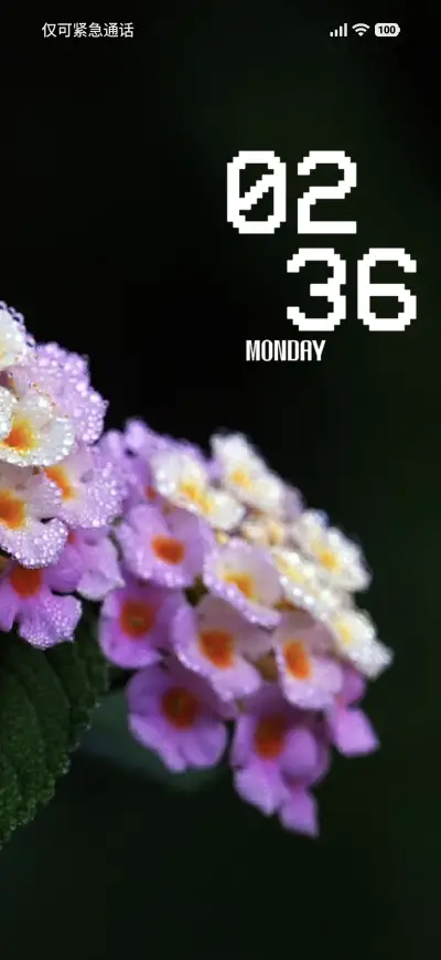 Petal - Screenshot 1