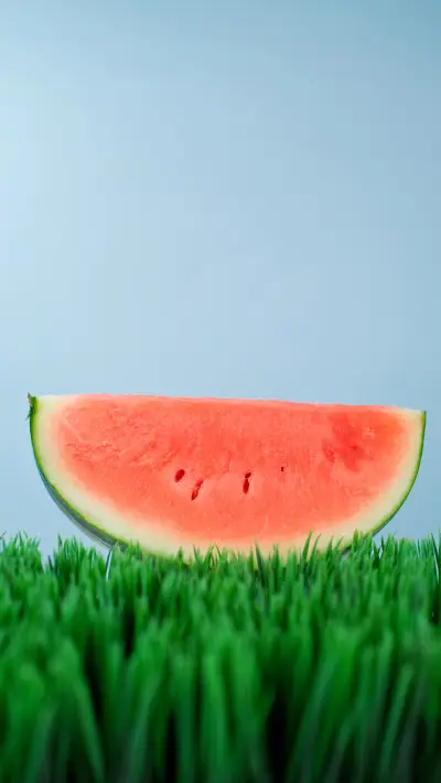 International-Watermelon