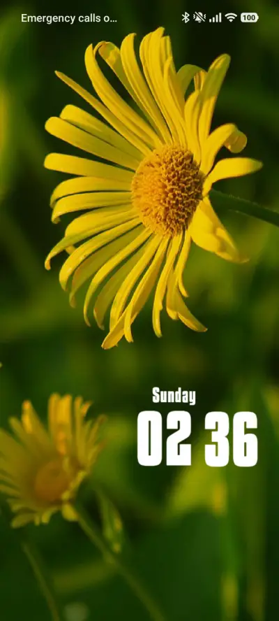 Sunflower - Screenshot 1