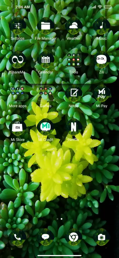 Plant quad - Screenshot 3