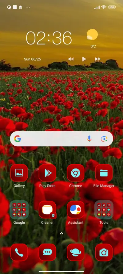 flowers poppies - Screenshot 2