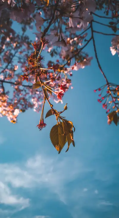 Feel the Blue (10) - Screenshot 1