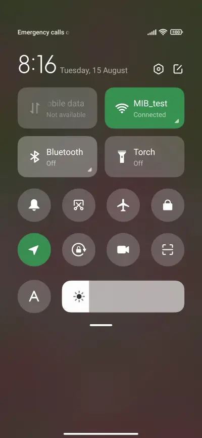 Strawberry Field - Screenshot 5