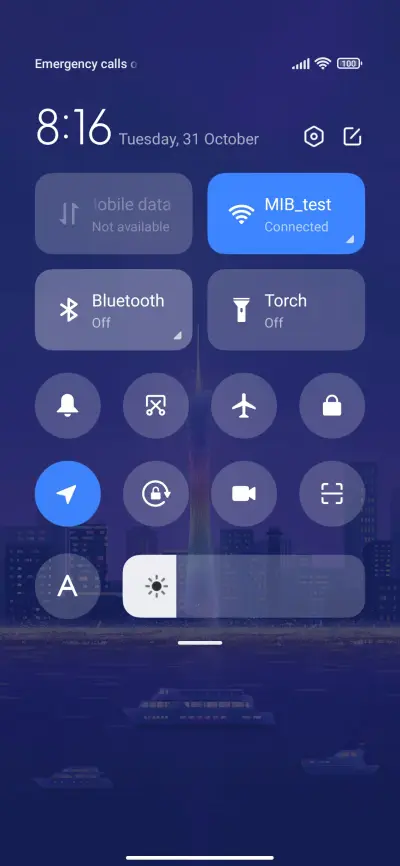 Flower City - Screenshot 6