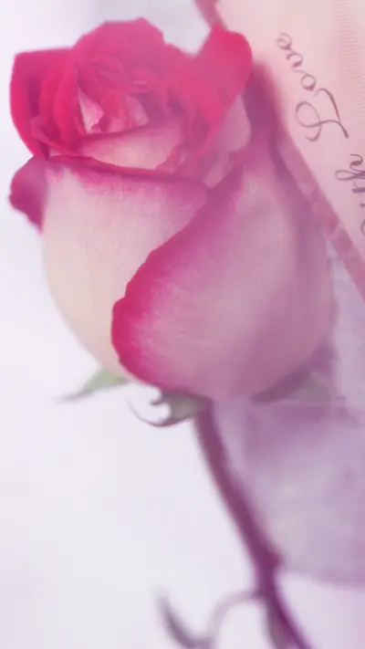 唯美花朵-【视觉中国】 (1) - Screenshot 1