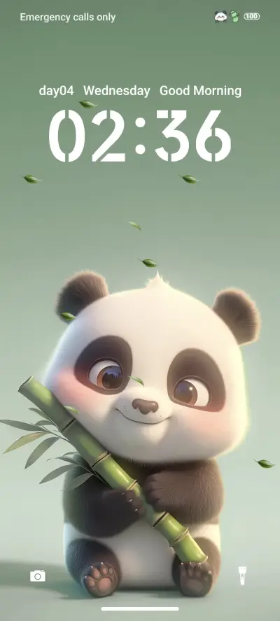 Cute little panda