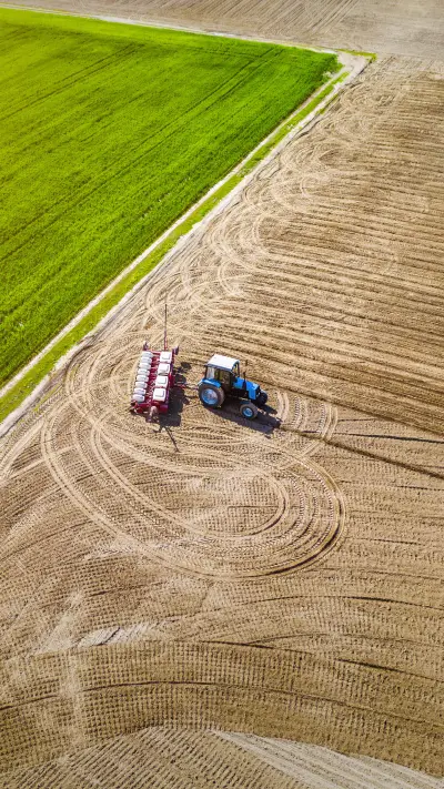 Looking at the revitalization of the seed industry here