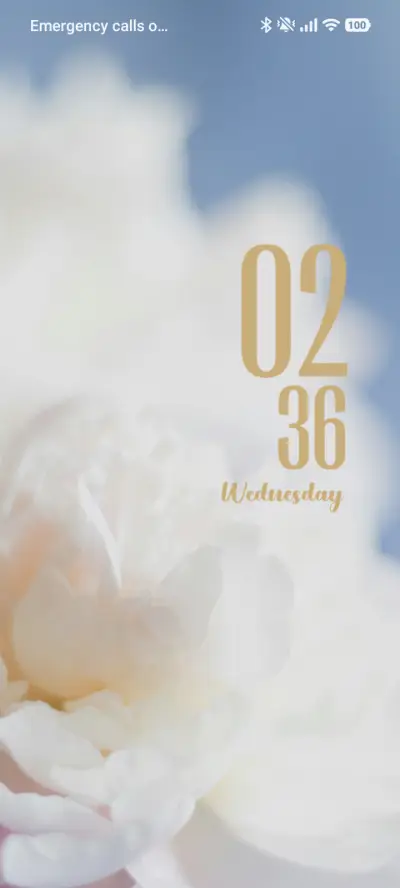 Minimal Rose - Screenshot 1