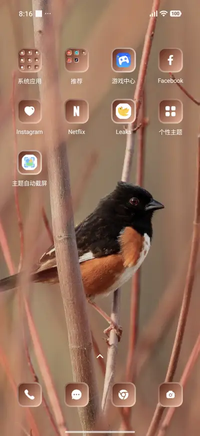 Wild Bird - Screenshot 3